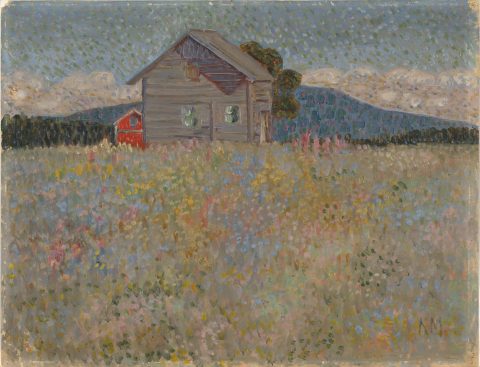 Field of Flowers with a Little House