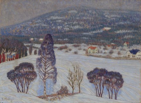Winter Landscape. Norway